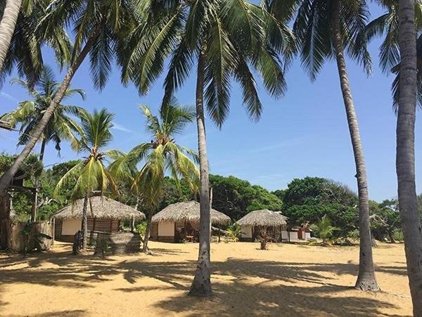 Upali Beach Surf Resort & Cafe Arugam Bay Esterno foto